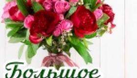 Благодарность