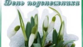 День подснежника