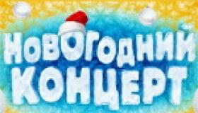 Новогодний концерт