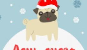 Всемирный день снега